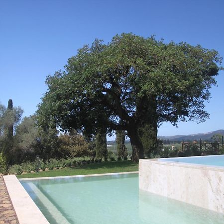 Agriturismo Il Broletto Суверето Экстерьер фото