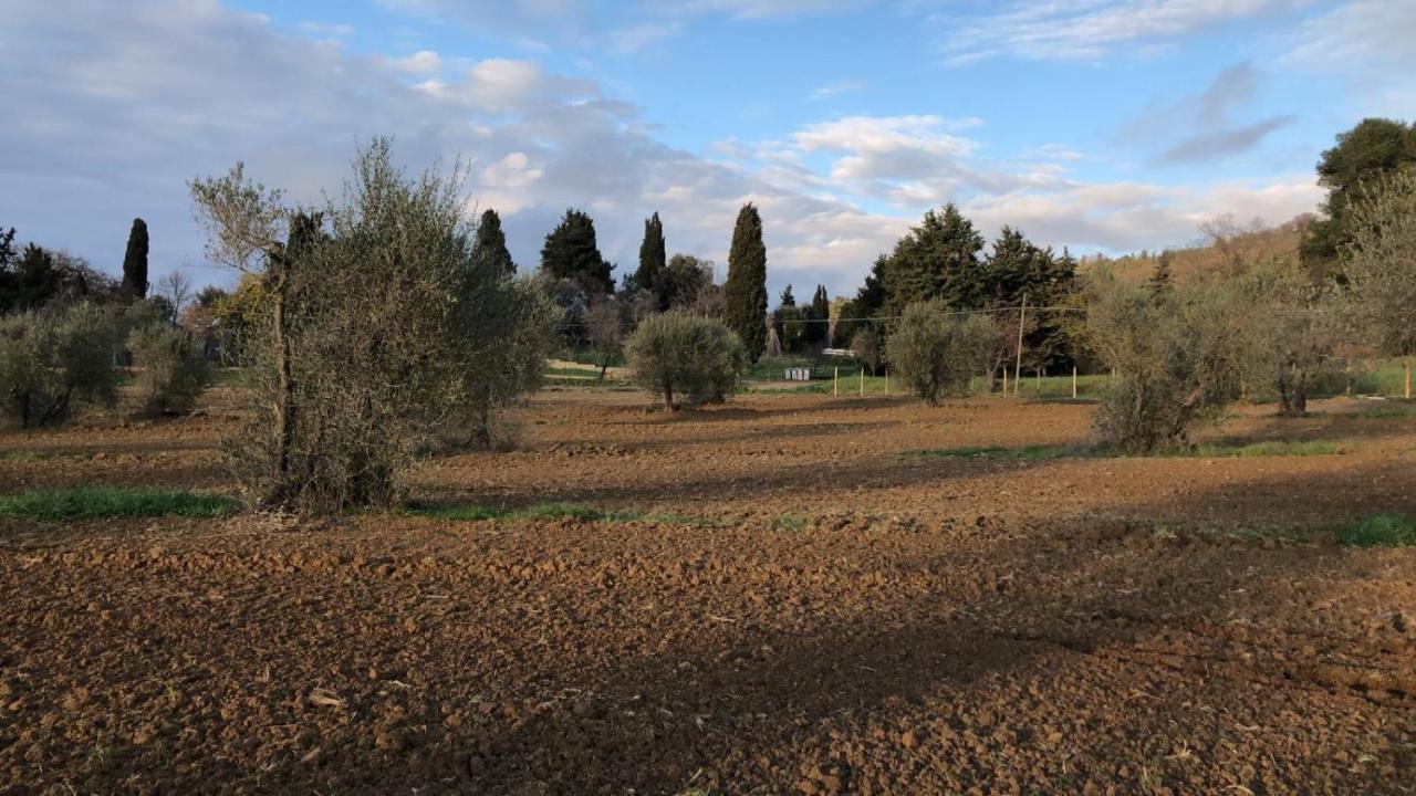 Agriturismo Il Broletto Суверето Экстерьер фото